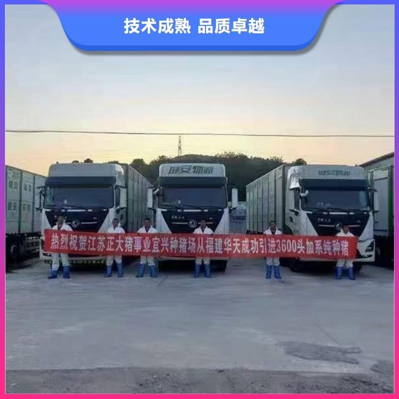 沭阳到羊运输-空调车服务至上