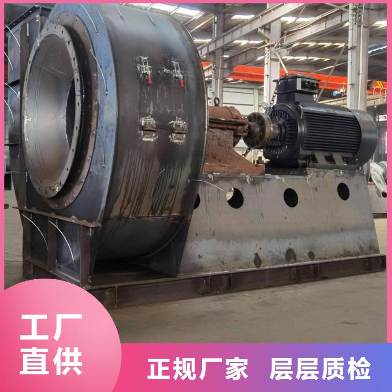 9-19复合肥专用尾气风机质量不佳尽管来找我(好服务!2025已更新)临沂鼓风机