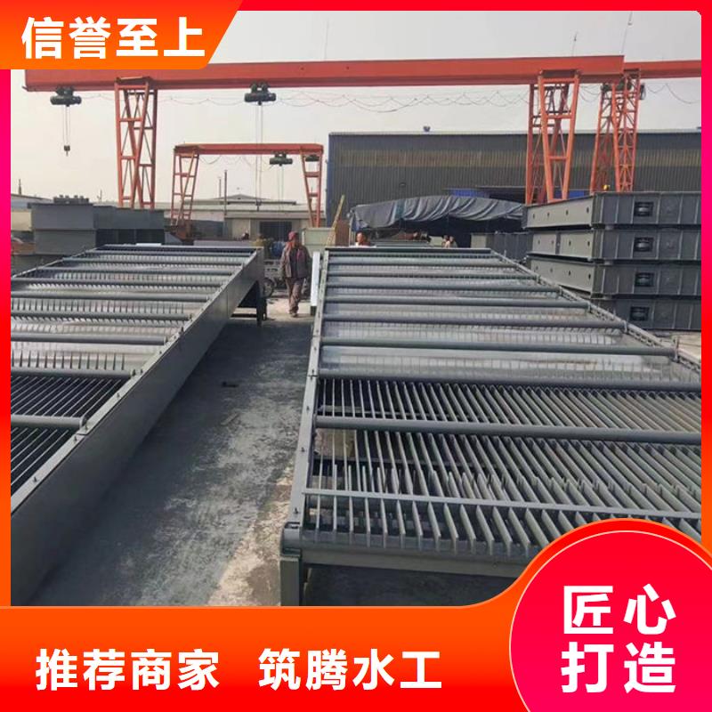 循环式齿耙清污机实力工厂