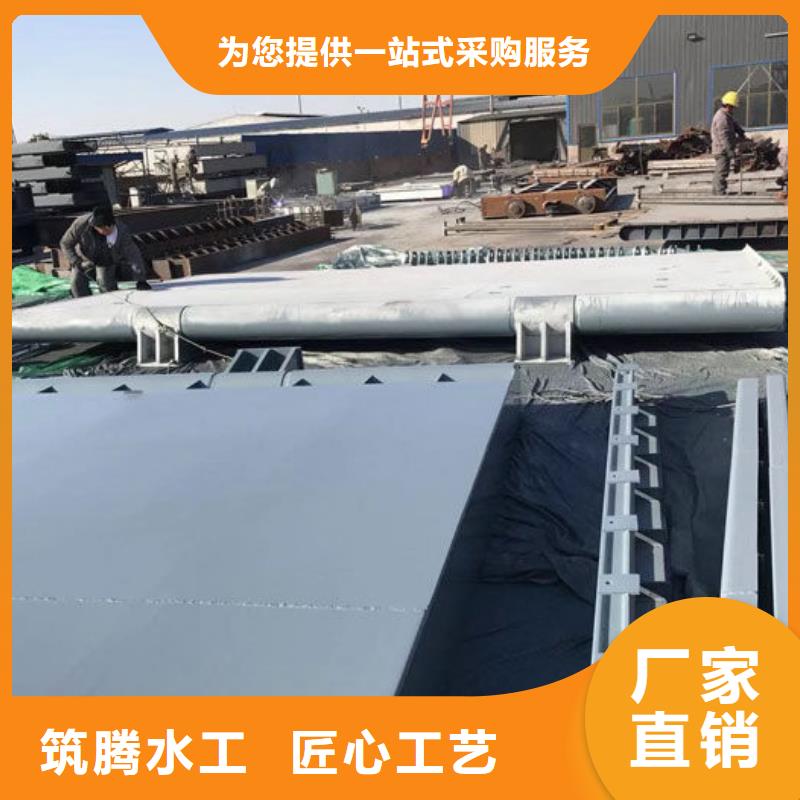 液压双控翻板闸门厂家直销