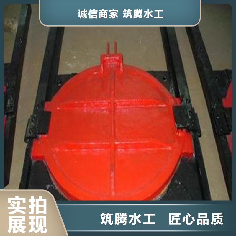 双向镶铜铸铁闸门厂家直营