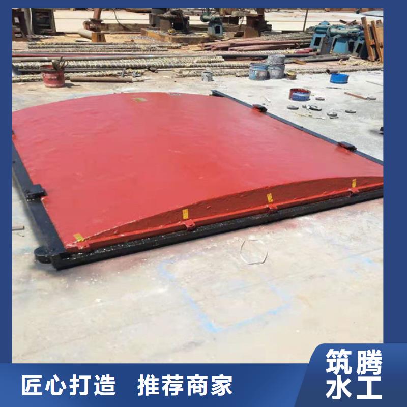 泵站铸铁闸门用心经营