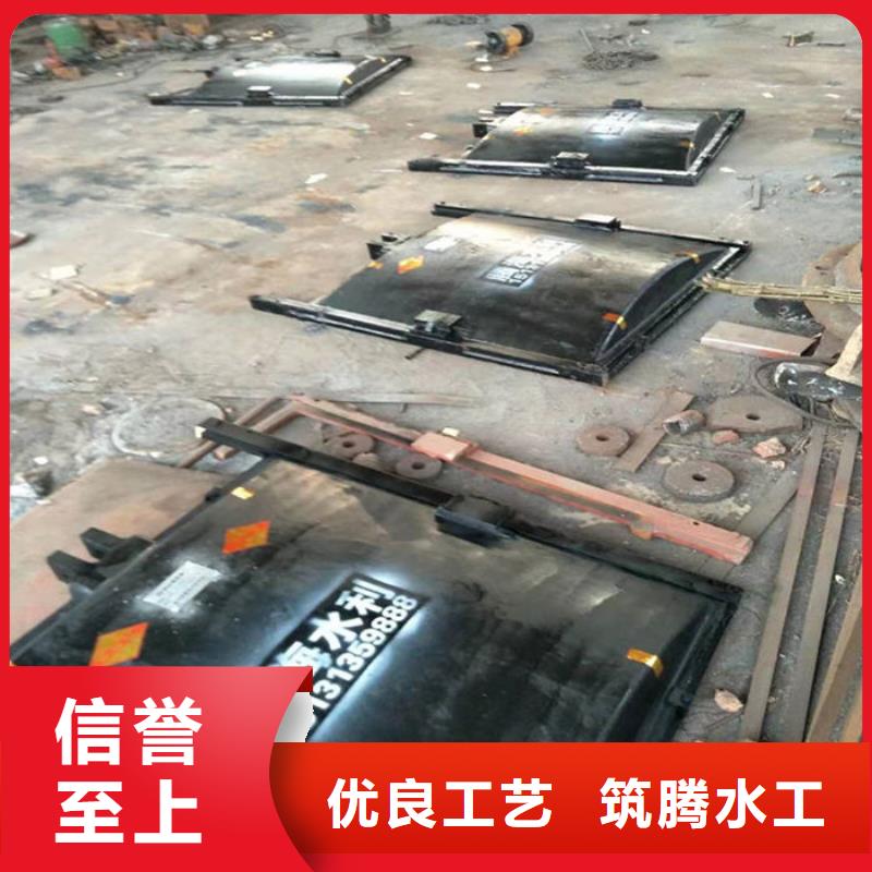 泵站铸铁闸门用心经营