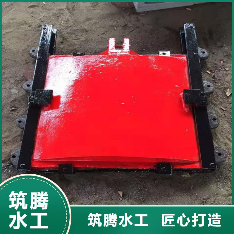 双向镶铜铸铁闸门厂家直营