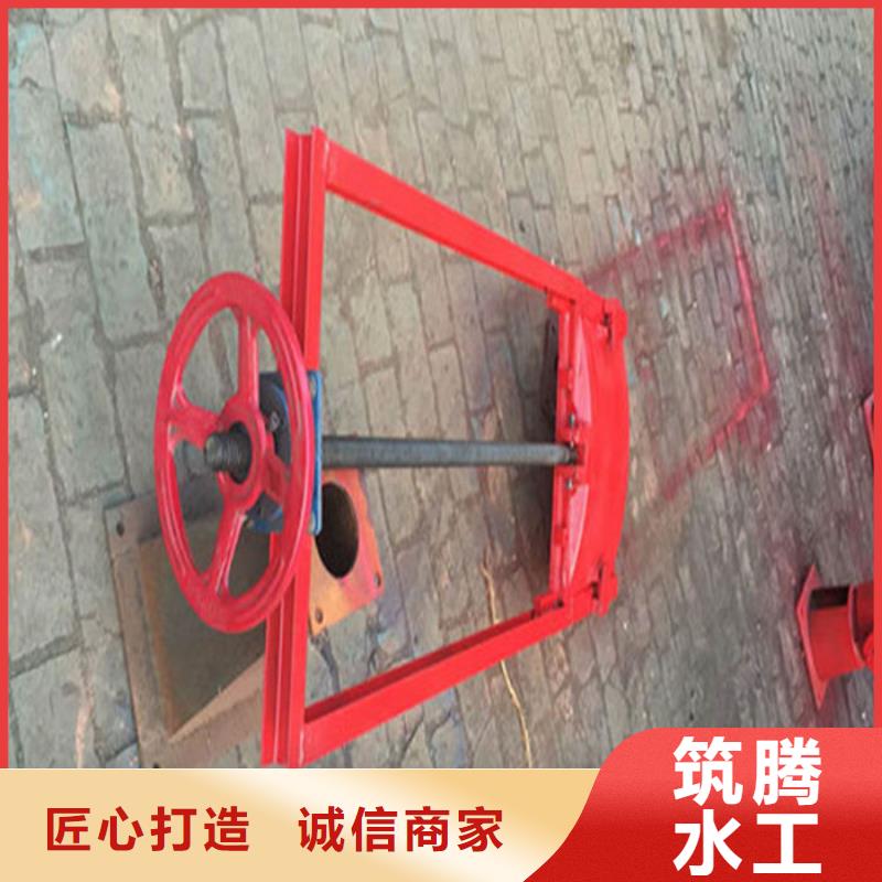 双向镶铜铸铁闸门厂家直营