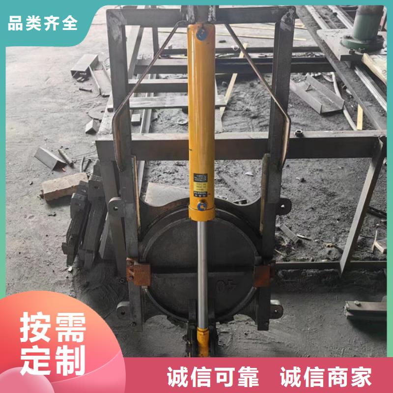 双向镶铜铸铁闸门厂家直营