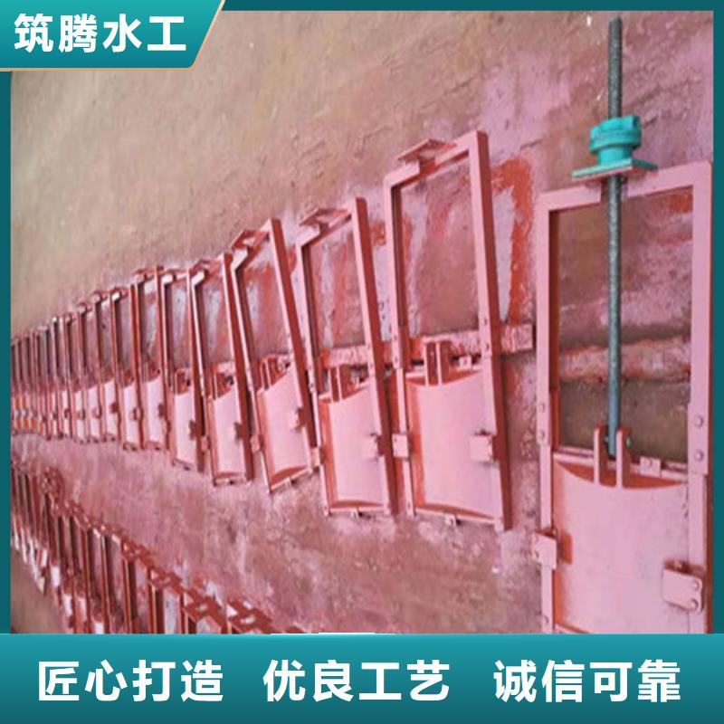 镶铜铸铁闸门型号齐全