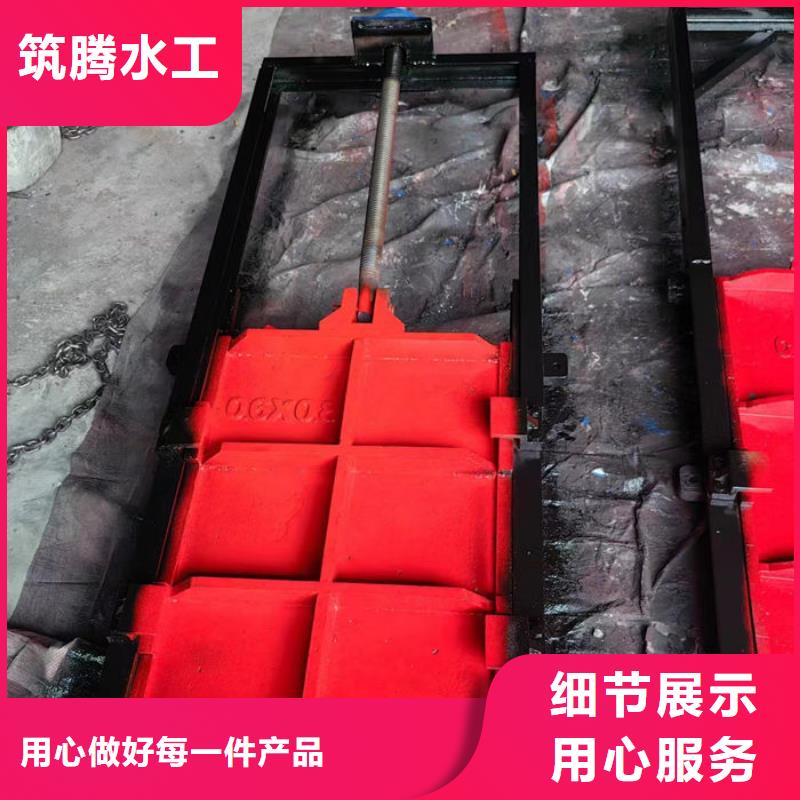 双向镶铜铸铁闸门厂家直营