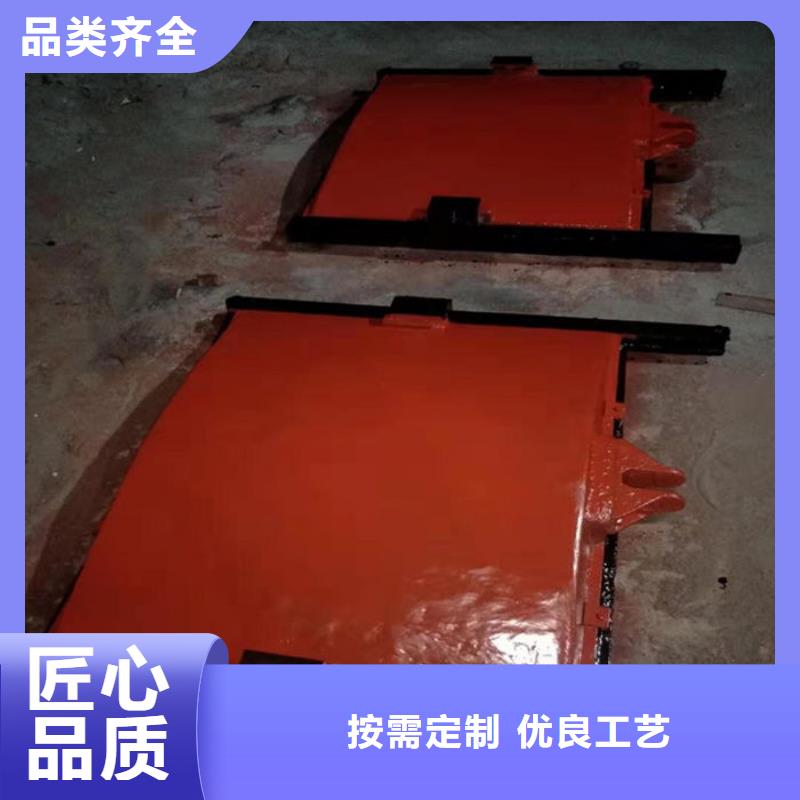 泵站铸铁闸门用心经营