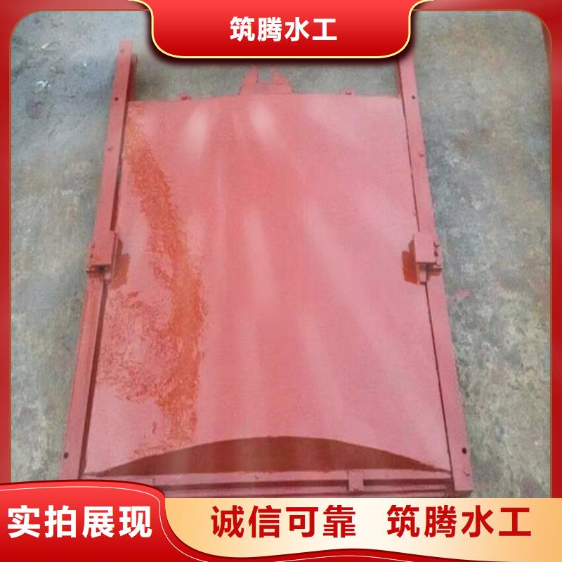 双向镶铜铸铁闸门厂家直营