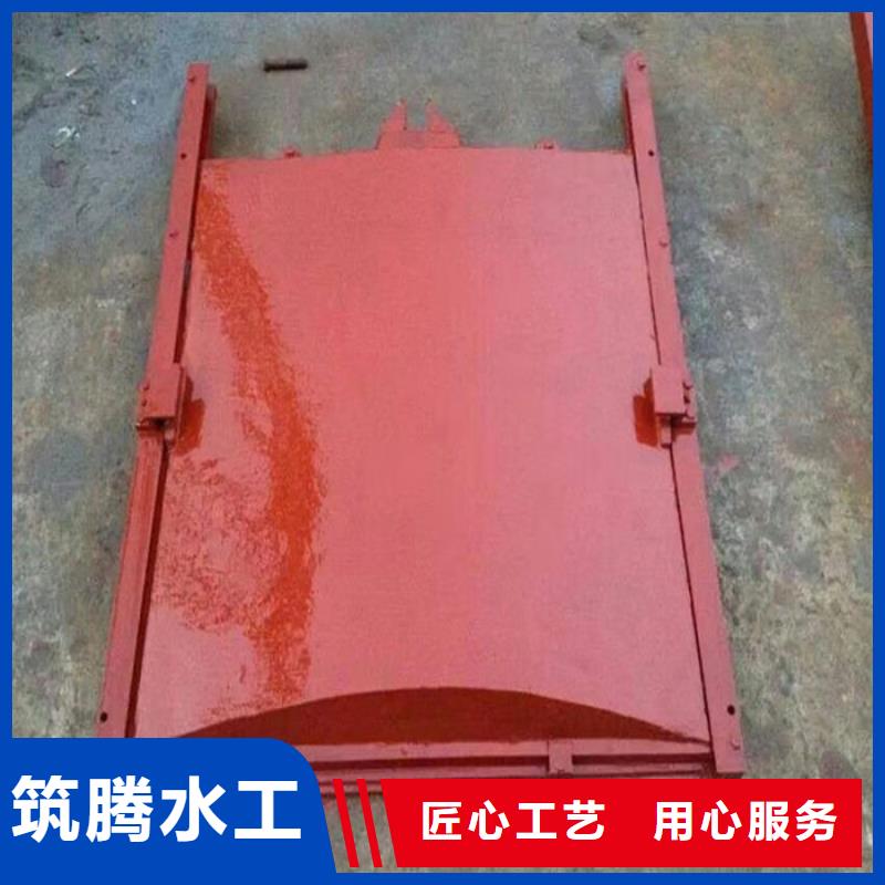 泵站铸铁闸门用心经营