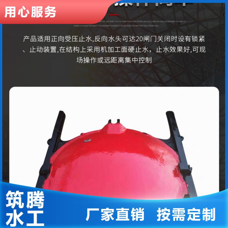 双向镶铜铸铁闸门厂家直销