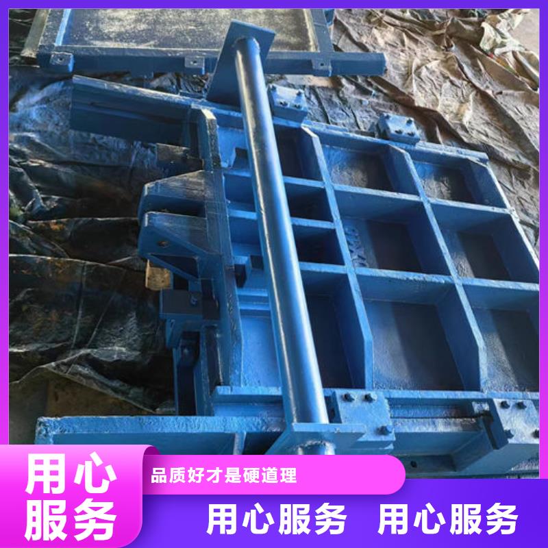 泵站铸铁闸门用心经营