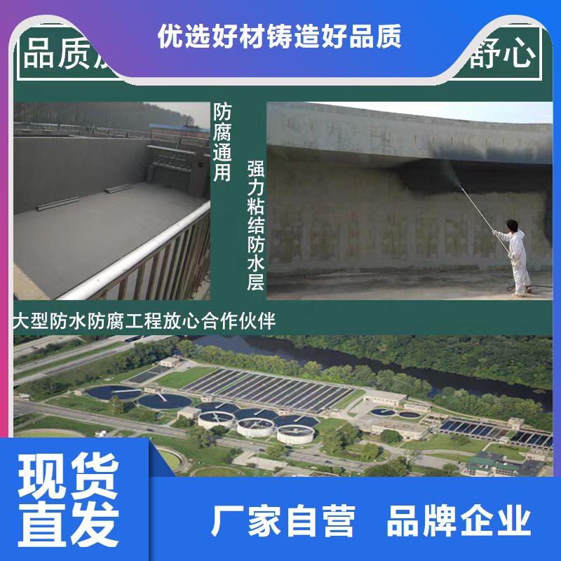 澳阔防腐高分子聚合物水泥基防水涂高品质诚信厂家精工制作RLFA水性聚乙烯防腐涂料
