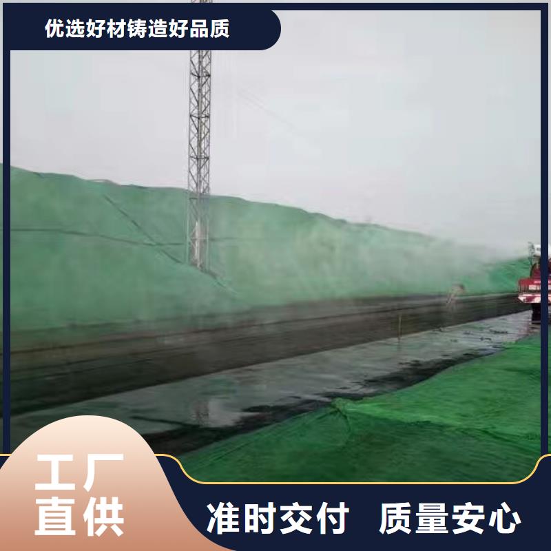 生物酶降尘剂实力生产厂家